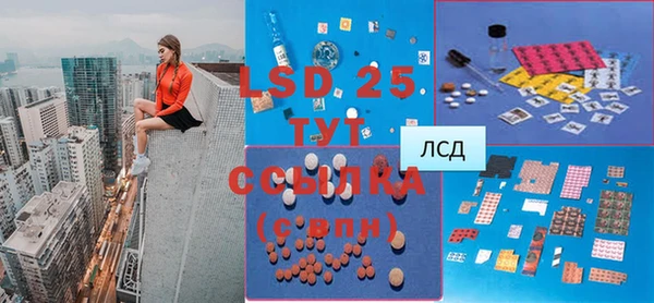 прущие грибы Балахна