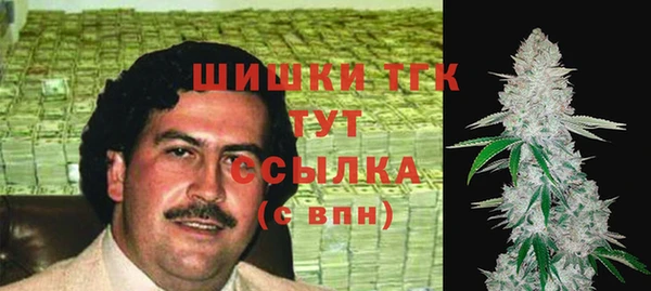 прущие грибы Балахна